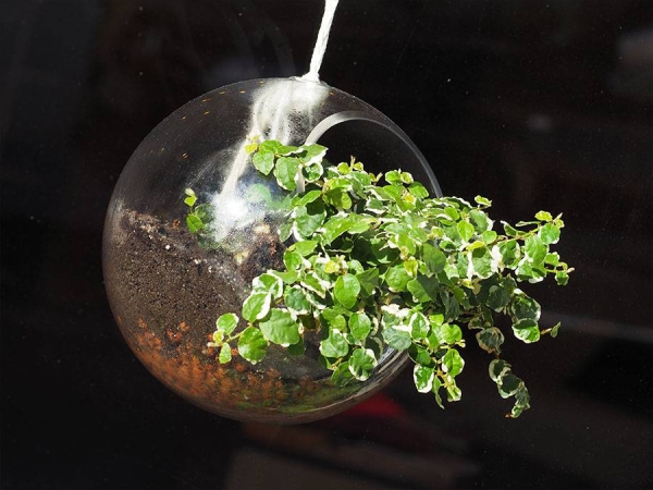 Galerie - Le Salon Bio - Coiffeur Salon-de-Provence - Coiffeur Saint Chamas